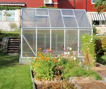 Växthus Bellis-82